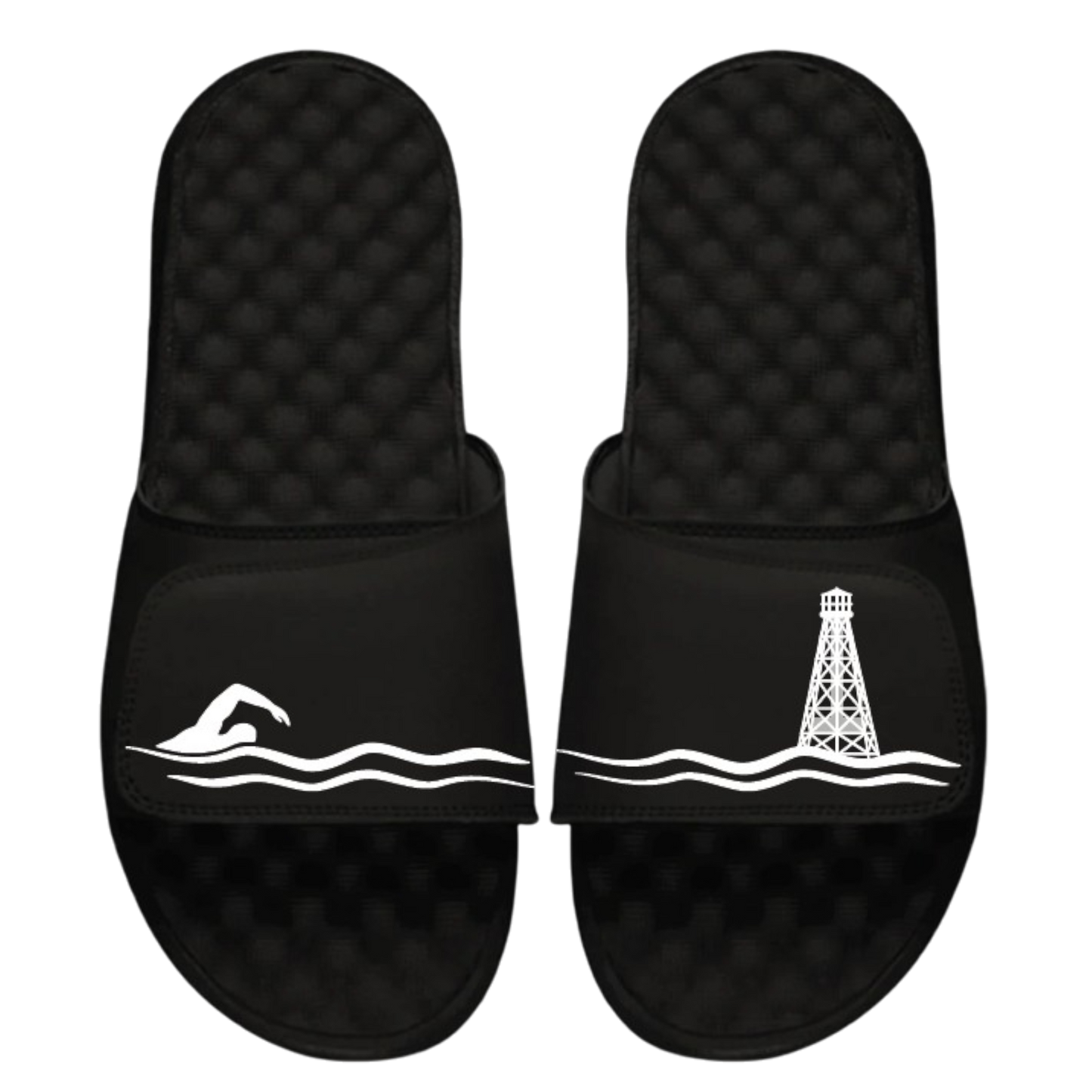 Swim for Alligator Slides